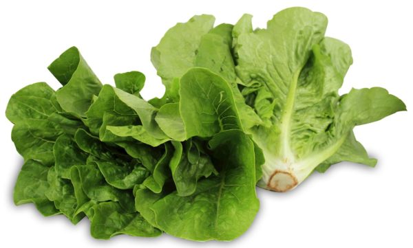 Sałata rzymska bio ok 400g- Bio Planet. ( veg )