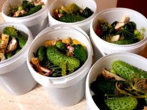 Ogórki małosolne 500g