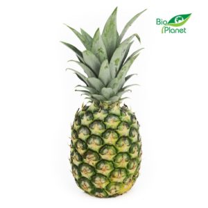 ANANAS ŚWIEŻY BIO (około 1,10 kg) (1 szt.)