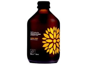 Kombucha z imbirem i acerolą BIO 315 ml - VIGO