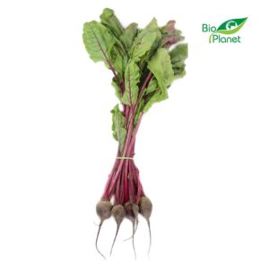 BOTWINA ŚWIEŻA BIO (POLSKA) (pęczek około 0,15 kg) (1 szt.)