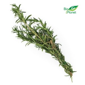 ROZMARYN ŚWIEŻY BIO (około 50 g) (1 szt.)