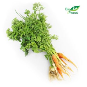 WŁOSZCZYZNA PĘCZEK ŚWIEŻA BIO (POLSKA) (około 0,40 kg) (1 szt.)