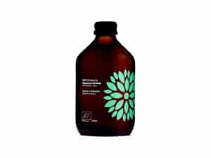 Kombucha z ogórkiem i kolendrą BIO 315 ml - VIGO