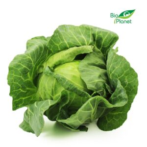 KAPUSTA BIAŁA MŁODA ŚWIEŻA BIO (POLSKA) (około 0,80 kg)