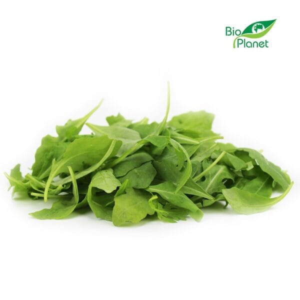 RUKOLA ŚWIEŻA NIEMYTA BIO (około 0,10 kg) (1 szt.)