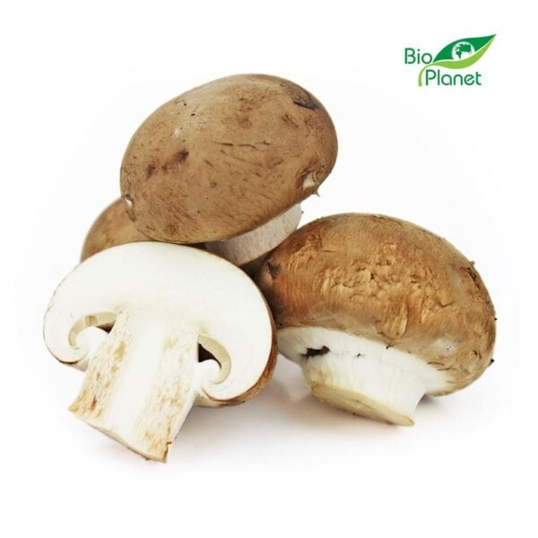PIECZARKI BRĄZOWE ŚWIEŻE BIO (POLSKA) (około 0,25 kg) (1 szt.)