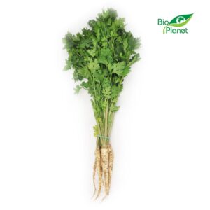 PIETRUSZKA Z NACIĄ MŁODA ŚWIEŻA BIO (POLSKA) (około 0,30 kg) (1 szt.)