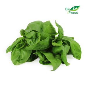BAZYLIA ŚWIEŻA BIO (POLSKA) (około 50 g) (1 szt.)