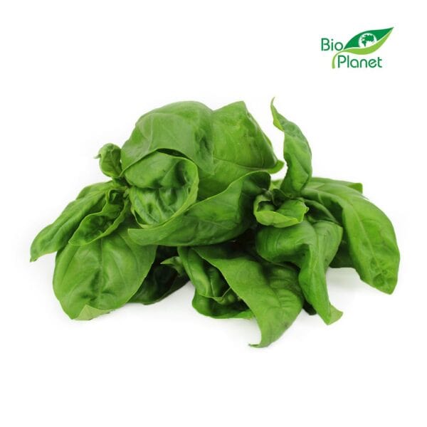 BAZYLIA ŚWIEŻA BIO (POLSKA) (około 50 g) (1 szt.)