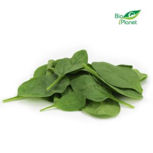 SZPINAK BABY ŚWIEŻY NIEMYTY BIO (około 0,10 kg) (1 szt.)