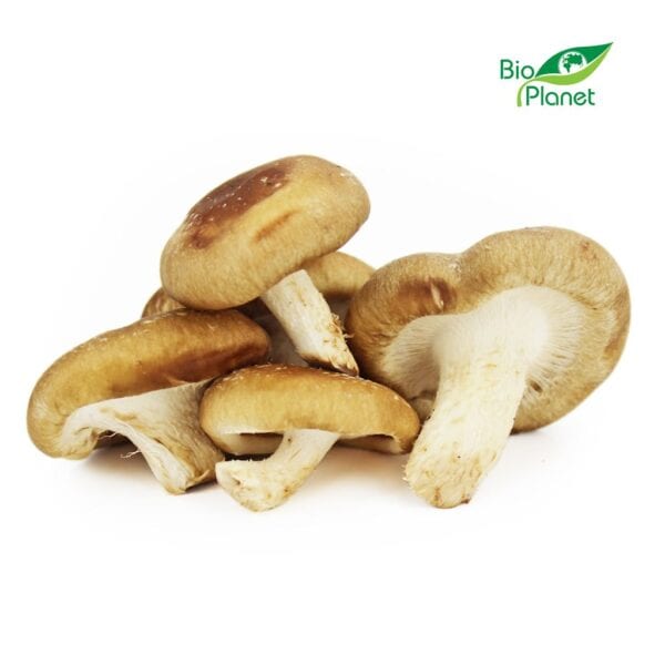 GRZYBY SHIITAKE ŚWIEŻE BIO (POLSKA) (około 0,20 kg) (1 szt.)