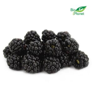 JEŻYNY ŚWIEŻE BIO (POLSKA) (około 0,125 kg) (1 szt.)