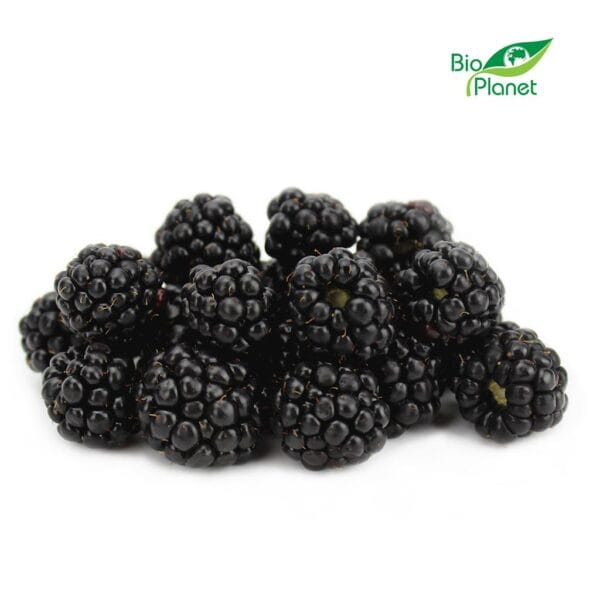 JEŻYNY ŚWIEŻE BIO (POLSKA) (około 0,125 kg) (1 szt.)
