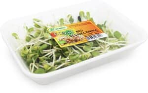 KIEŁKI SŁONECZNIKA ŚWIEŻE BIO (około 50 g) (2 szt.)