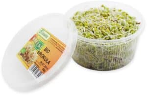 KIEŁKI BROKUŁU ŚWIEŻE BIO (około 50 g) (2 szt.)