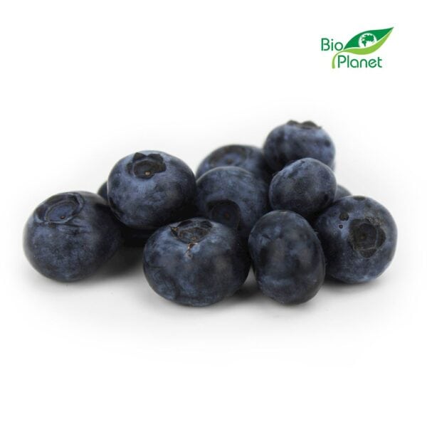 BORÓWKI ŚWIEŻE BIO (POLSKA) (około 0,25 kg) (1 szt.)