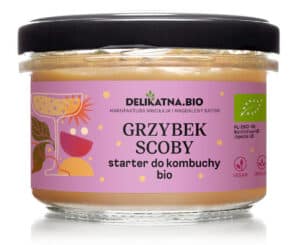 GRZYBEK SCOBY STARTER DO KOMBUCHY BIO 150 g - DELIKATNA (2 szt.)