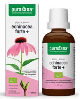 JEŻÓWKA PURPUROWA (ECHINACEA FORTE) KROPLE BIO 50 ml - PURASANA (1 szt.)
