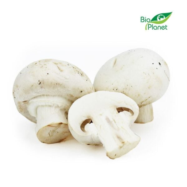 PIECZARKI BIAŁE ŚWIEŻE BIO (POLSKA) (około 0,25 kg) (1 szt.)