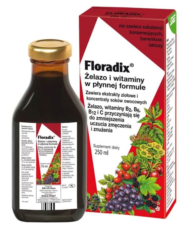 ŻELAZO + WITAMINY W PŁYNIE 250 ml - SALUS (FLORADIX) (1 szt.)
