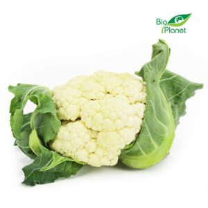 KALAFIOR ŚWIEŻY BIO (POLSKA) (około 0,60 kg) (1 szt.)