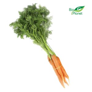 MARCHEW MŁODA Z NATKĄ ŚWIEŻA BIO (POLSKA) (około 0,30 kg) (1 szt.)