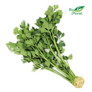SELER Z NACIĄ ŚWIEŻY BIO (POLSKA) (około 0,20 kg) (1 szt.)