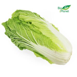 KAPUSTA PEKIŃSKA ŚWIEŻA BIO (POLSKA) (około 0,80 kg) (1 szt.)