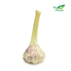 CZOSNEK ŚWIEŻY BIO (POLSKA) (około 50 g) (1 szt.)