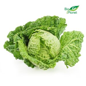 KAPUSTA WŁOSKA ŚWIEŻA BIO (POLSKA) (około 0,60 kg) (1 szt.)