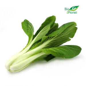 KAPUSTA PAK CHOI ŚWIEŻA BIO (około 0,25 kg) (1 szt.)