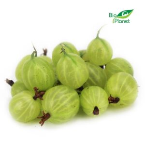 AGREST ŚWIEŻY BIO (POLSKA) (około 0,20 kg)