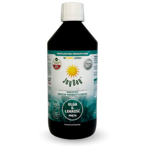 KONCENTRAT NAPOJU PROBIOTYCZNEGO MIĘTA BEZGLUTENOWY BIO 500 ml - JOY DAY (1 szt.)