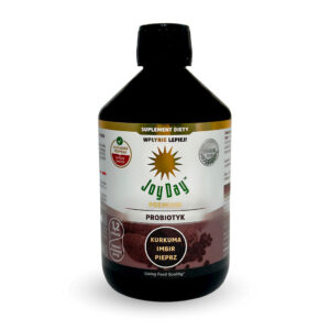 KONCENTRAT NAPOJU PROBIOTYCZNEGO KURKUMA IMBIR PIEPRZ BEZGLUTENOWY BIO 500 ml - JOY DAY (1 szt.)