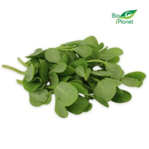 PORTULAKA ŚWIEŻA BIO (POLSKA) (około 100 g) (1 szt.)