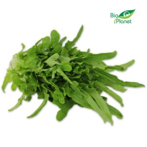 SAŁATA RADICHETTA ŚWIEŻA BIO (POLSKA) (około 0,30 kg) (1 szt.)