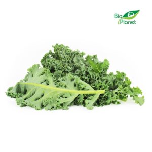 JARMUŻ ŚWIEŻY NIEMYTY BIO (POLSKA) (około 0,25 kg) (1 szt.)