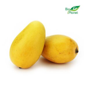 MANGO ATAULFO ŚWIEŻE BIO (około 0,20 kg) (1 szt.)