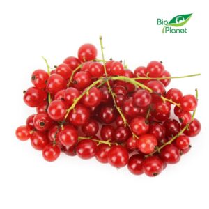 PORZECZKI CZERWONE ŚWIEŻE BIO (POLSKA) (około 0,20 kg) (1 szt.)