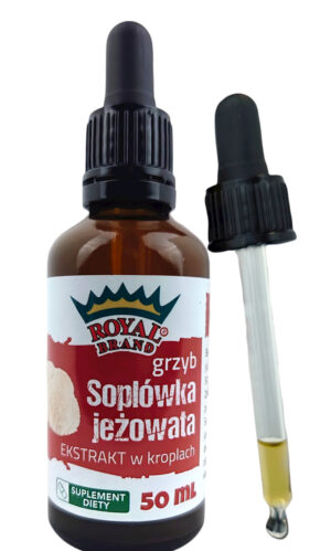 GRZYBY SOPLÓWKA JEŻOWATA (LION'S MANE) EKSTRAKT W KROPLACH 50 ml - ROYAL BRAND (1 szt.)