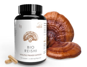 GRZYBY REISHI BIO (500 mg) 100 KAPSUŁEK - PILZE WOHLRAB (1 szt.)