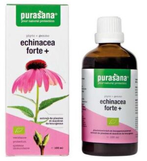 JEŻÓWKA PURPUROWA (ECHINACEA FORTE) KROPLE BIO 100 ml - PURASANA (1 szt.)
