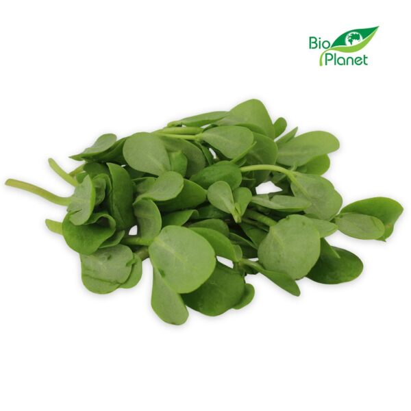 PORTULAKA ŚWIEŻA NIEMYTA BIO (POLSKA) (około 0,10 kg) (1 szt.)