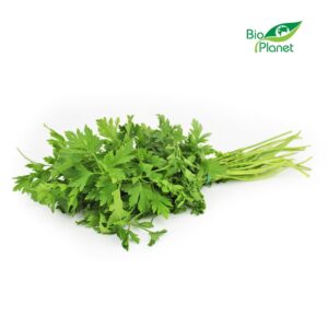NATKA PIETRUSZKI ŚWIEŻA BIO (POLSKA) (około 20 g) (1 szt.)