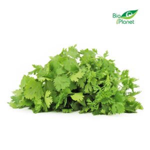 KOLENDRA ŚWIEŻA NIEMYTA BIO (POLSKA) (około 50 g) (1 szt.)