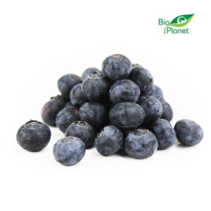 BORÓWKI ŚWIEŻE BIO (około 0,125 kg) (1 szt.)