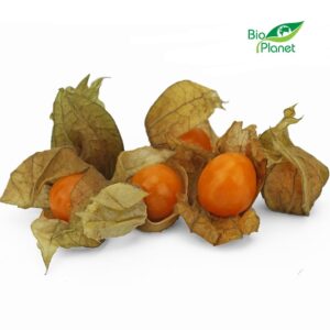 MIECHUNKA ŚWIEŻA BIO (około 0,10 kg) (1 szt.)