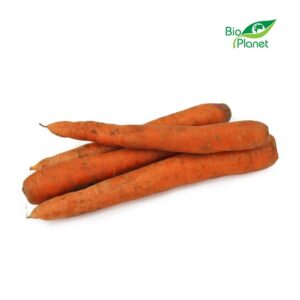 MARCHEW ŚWIEŻA NIEMYTA BIO (POLSKA) (około 1,00 kg) (1 szt.)
