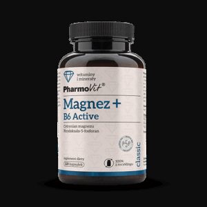 MAGNEZ + WITAMINA B6 ACTIV BEZGLUTENOWY 120 KAPSUŁEK - PHARMOVIT (CLASSIC) (1 szt.)